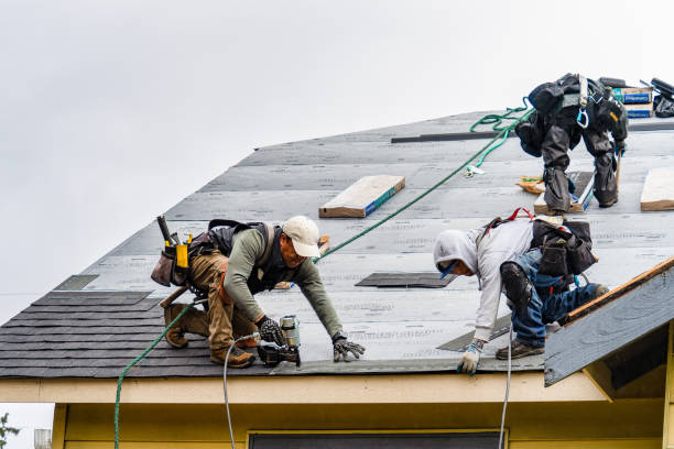 Professional Storm Damage Roof Repair technician working in Monroe, UT